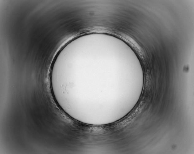 X0000103911190200810101301