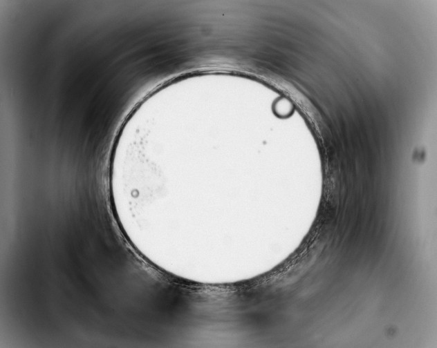 X0000103911191200810101301