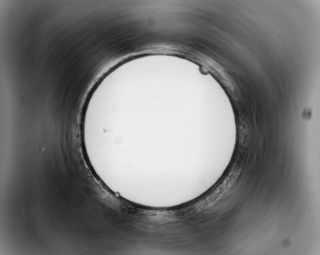 X0000103911192200810101301
