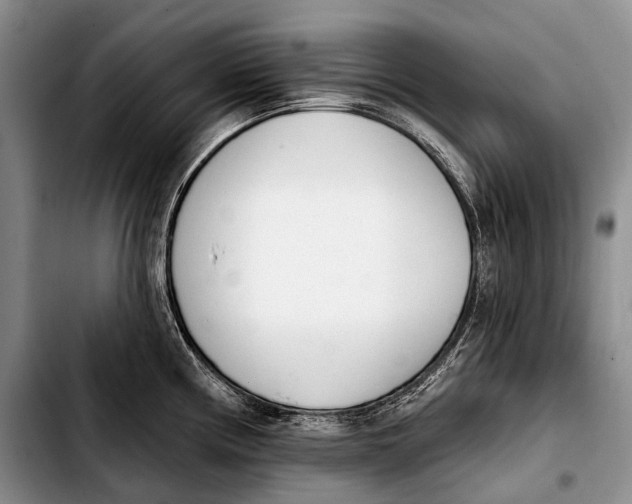 X0000103911194200810101301