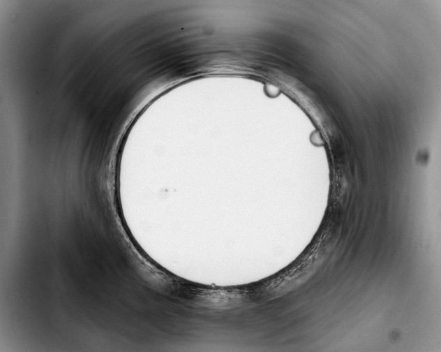 X0000103911195200810101301