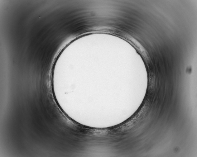 X0000103911196200810101301