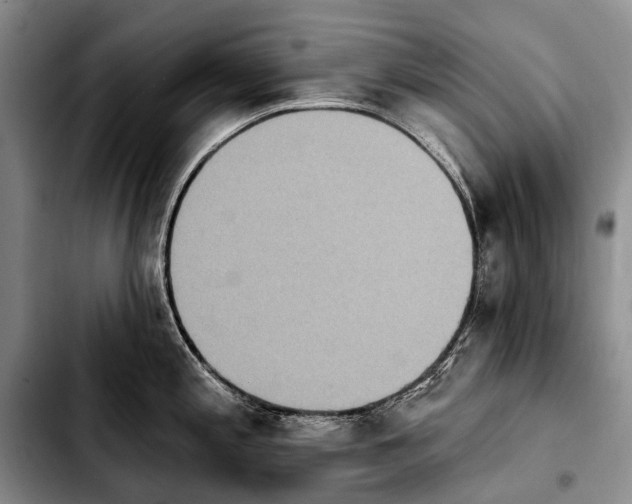 X0000103911197200810101301