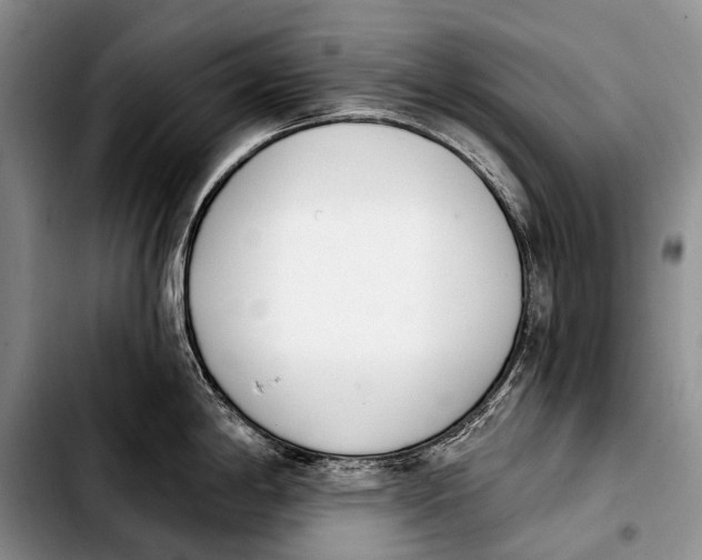 X0000103911198200810101301