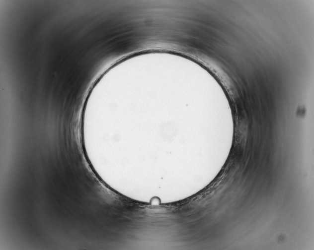 X0000103911199200810101301