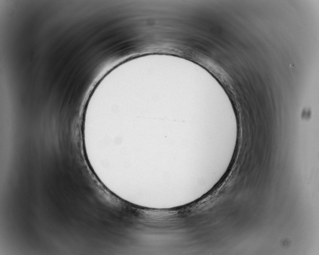 X0000103911200200810101301
