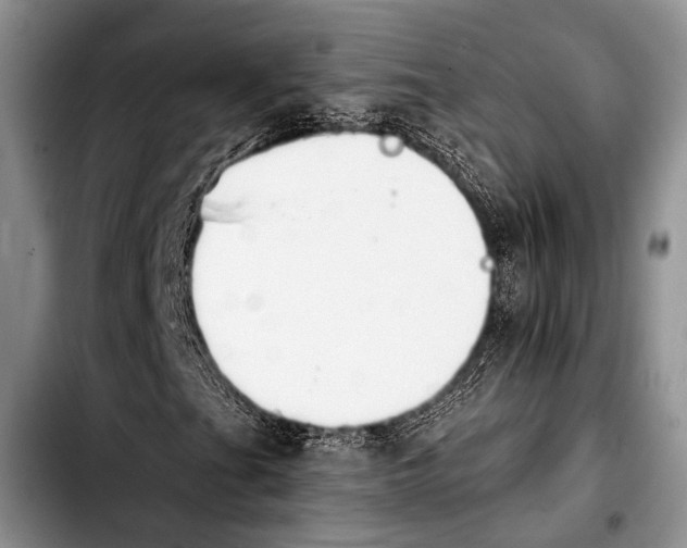 X0000103911201200810101300