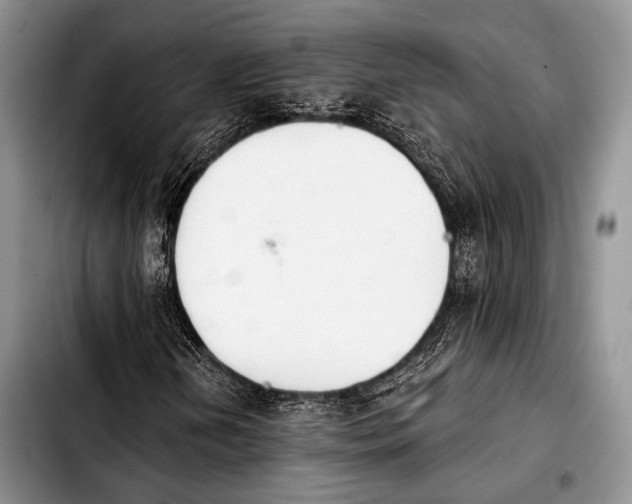 X0000103911202200810101300
