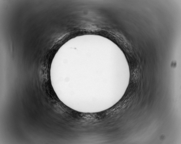 X0000103911205200810101300