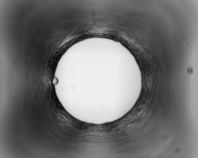 X0000103911206200810101300