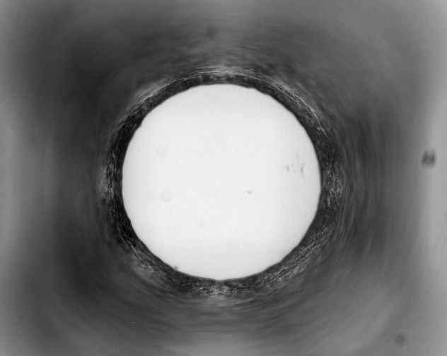 X0000103911207200810101300