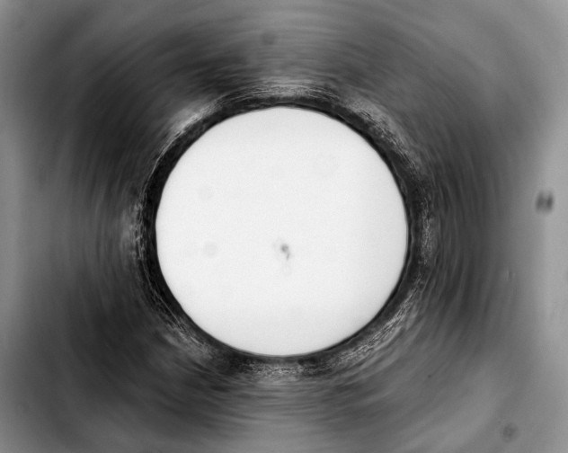 X0000103911210200810101300