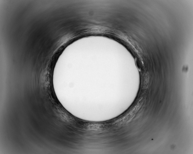 X0000103911211200810101300
