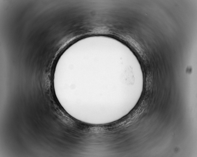 X0000103911212200810101300