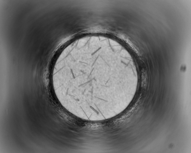 X0000103911213200810101300
