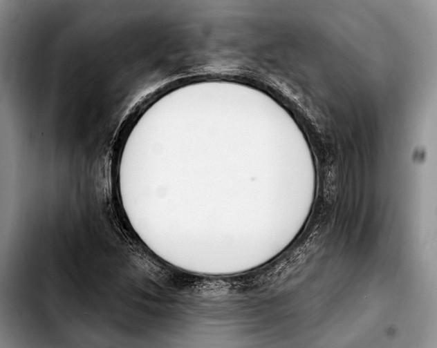X0000103911214200810101300