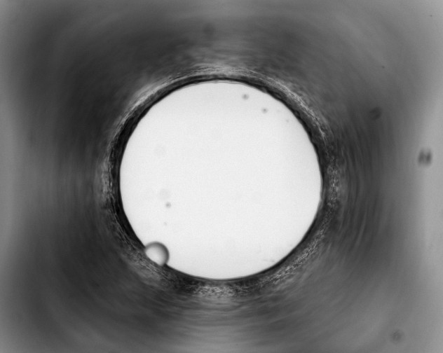 X0000103911215200810101300