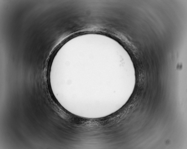X0000103911216200810101300