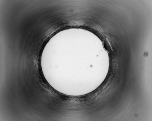 X0000103911217200810101300