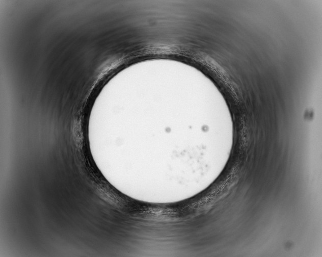 X0000103911218200810101300