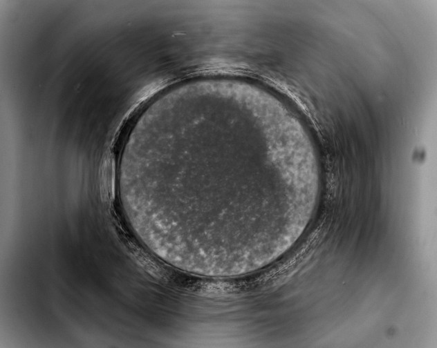 X0000103911219200810101300