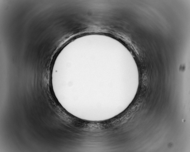 X0000103911220200810101300