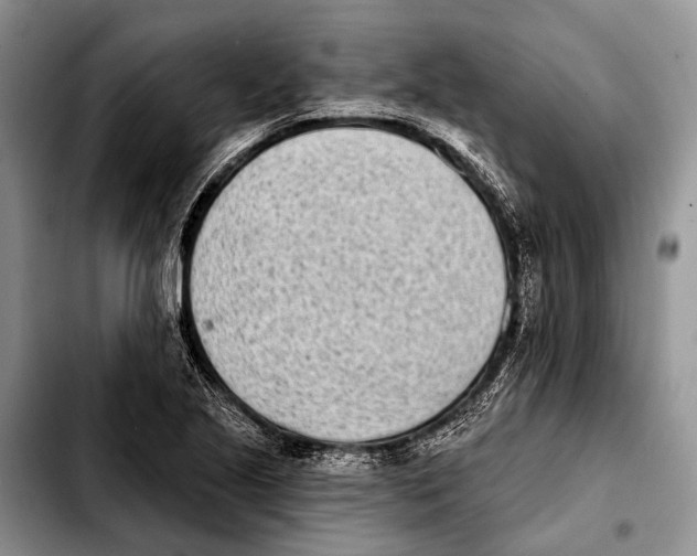 X0000103911221200810101300