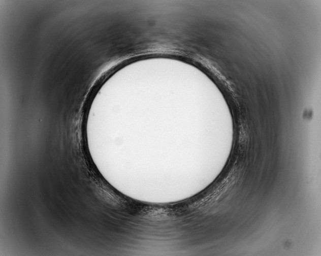 X0000103911222200810101300