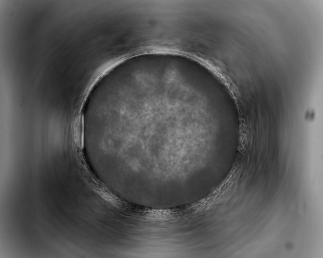 X0000103911223200810101300