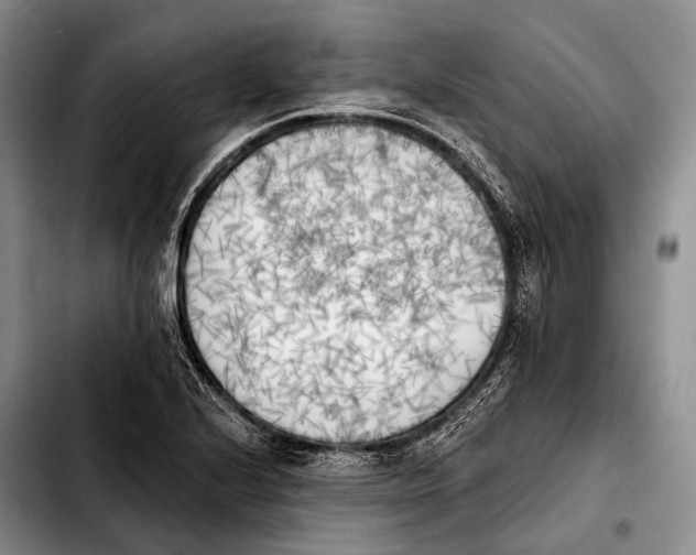 X0000103911224200810101300