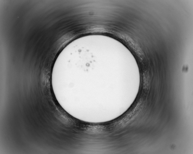 X0000103911225200810101300