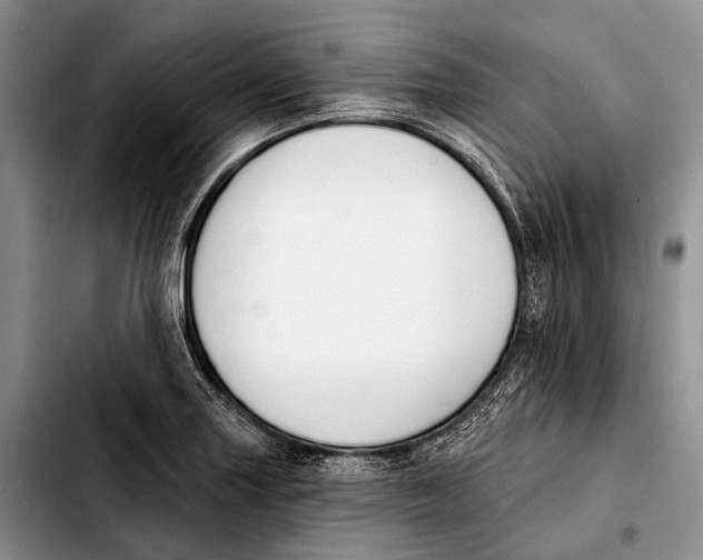 X0000103911227200810101300