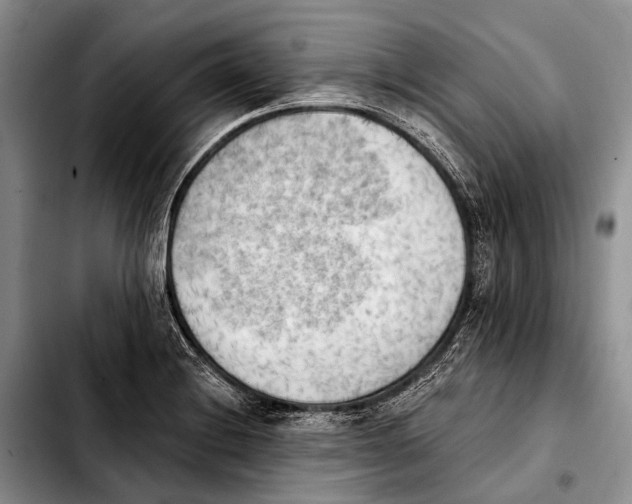 X0000103911228200810101300