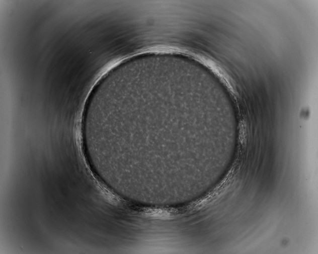 X0000103911229200810101300