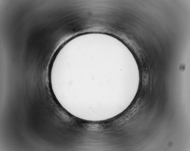 X0000103911230200810101300