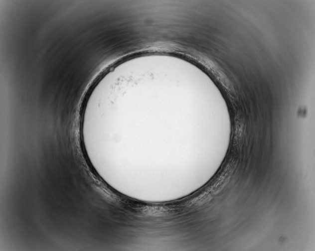 X0000103911232200810101300
