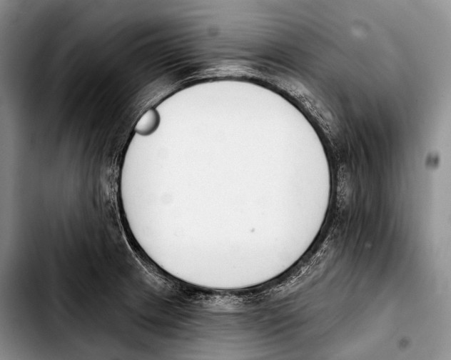 X0000103911233200810101300