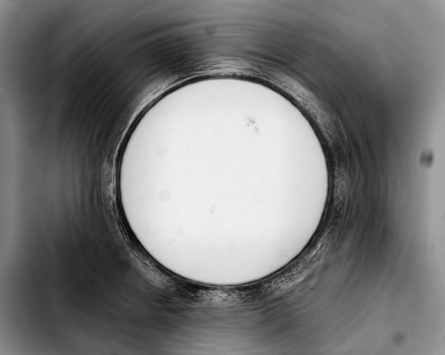 X0000103911234200810101300