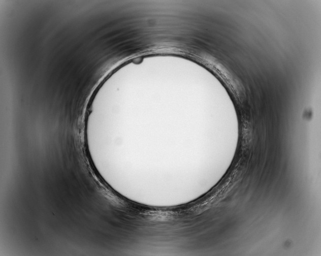 X0000103911236200810101301