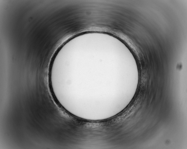 X0000103911237200810101301