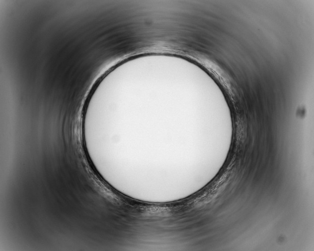 X0000103911238200810101301