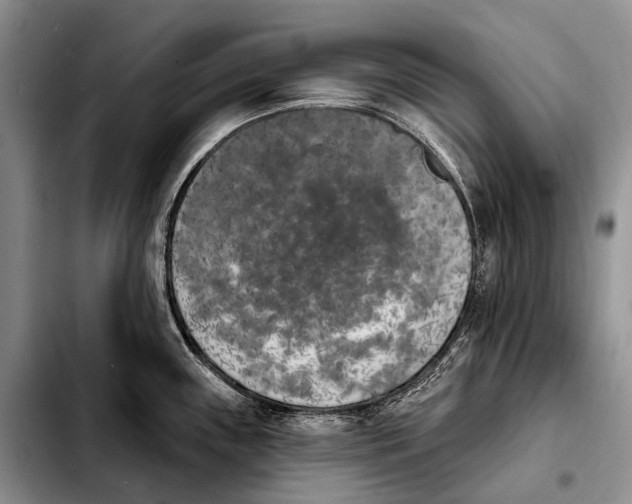 X0000103911243200810101301