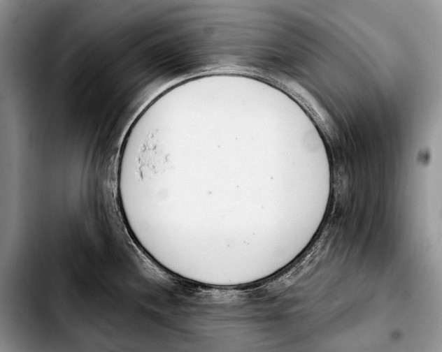X0000103911244200810101301