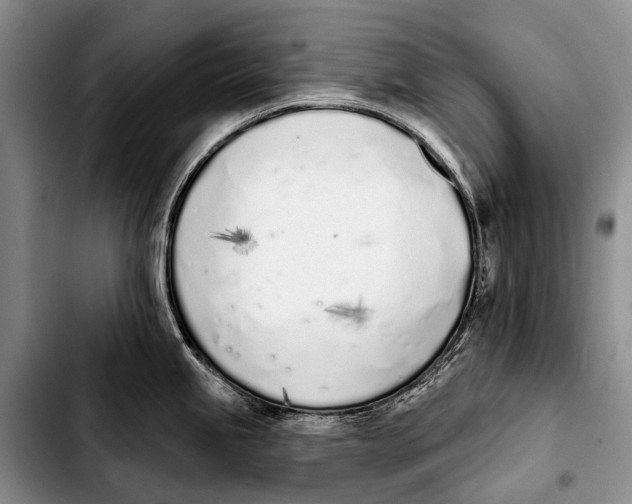 X0000103911245200810101301
