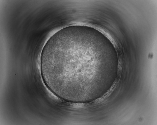 X0000103911247200810101301