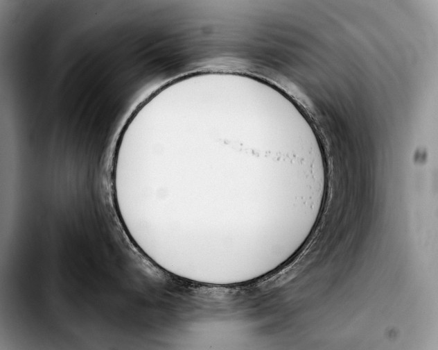 X0000103911248200810101301