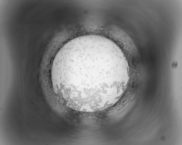 X0000103911249200810101300