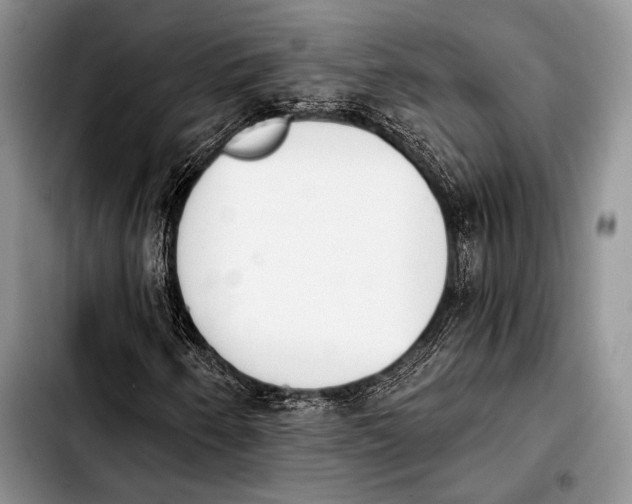 X0000103911250200810101300