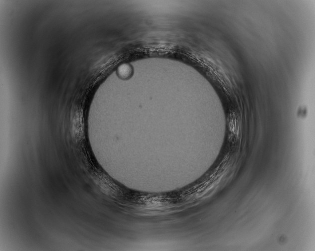 X0000103911252200810101300
