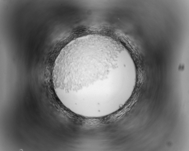 X0000103911253200810101300